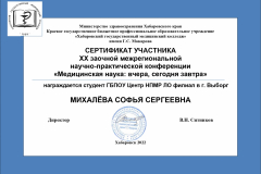 mihaleva_-vyborg_sertifikat_page-0001